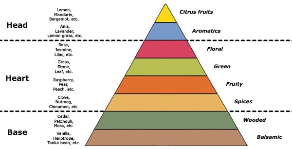 Pyramid showing types of perfumes