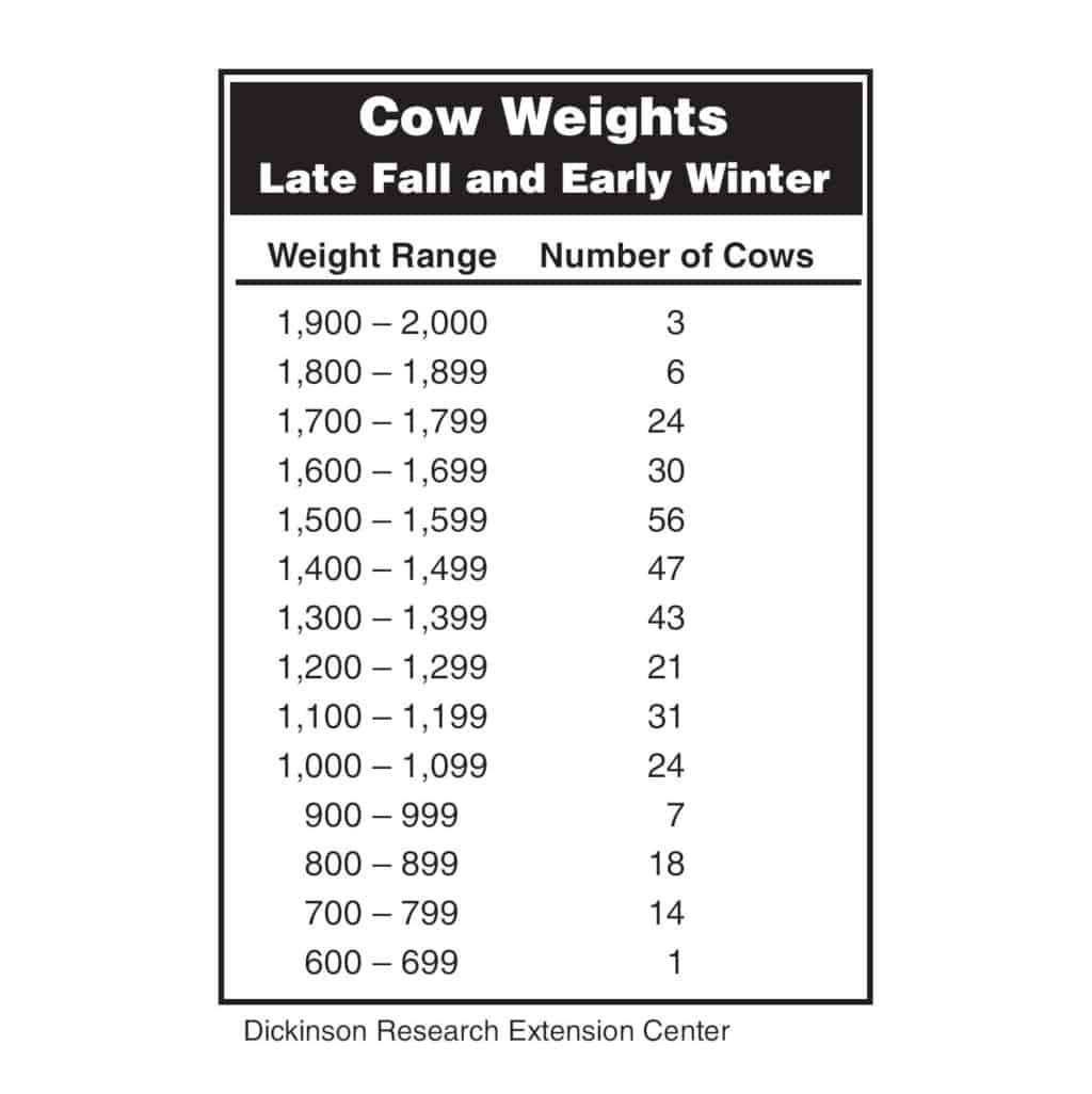 Beef Cattle Weight Gain Chart