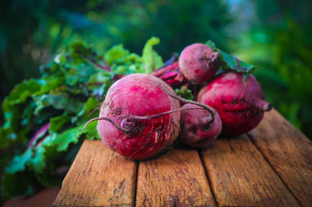 red beet on a bench