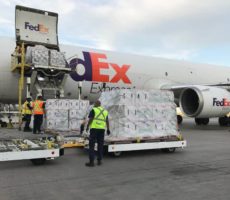 FedEx Careers: The Good, The Pay, and The Shifts.