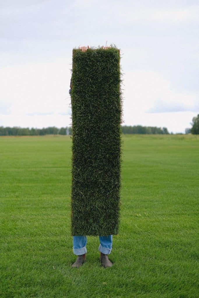 person holding roll of sod and grass