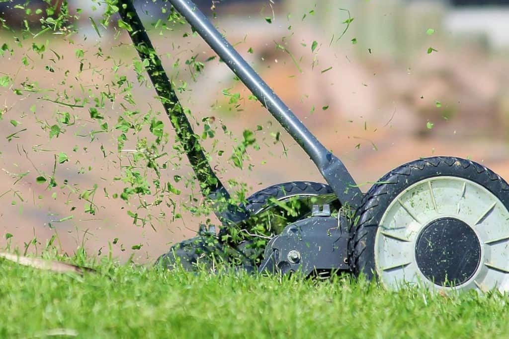 push mower cutting grass on lawn
